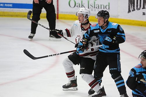 Virden Oil Capitals forward Tyson Draper battles with Talon Hogg in front of the Winnipeg Blues' net. He scored the second goal of the game in a 6-1 win for Virden on Saturday at Tundra Oil & Gas Place. (Rowan McCarthy/The Brandon Sun)