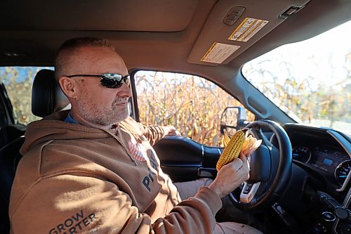Dean Toews is seen holding a cob of corn that he plucked off a plant in his fields outside MacGregor. Toews said that it looks like a “fantastic” year for corn yield. He is now looking to get it all off the fields safely before the end of November. (Connor McDowell/The Brandon Sun)