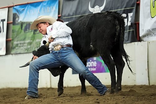 Kesler Brown of Virden competes in the junior high chute dogging event at the Brandon High School Indoor Rodeo at the Keystone Centre on Thursday. The high school rodeo continues today. The Wheat City Cowtown Eastern Circuit Finals rodeo also kicked off Thursday evening and runs again tonight and tomorrow evening. (Tim Smith/The Brandon Sun)