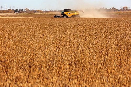 A combine harvests soybeans during the Acres of Hope Rivers and Oak River community harvest in support of the Canadian Foodgrains Bank at a field east of Rivers on Monday. Farmers from the area came together to harvest approximately 155 acres of soybeans, which will be sold at market with the proceeds going to the CFB. CFB has close to three dozen growing projects in Manitoba this year. The Acres of Hope harvest is the last of CFB project harvests for 2026. The CFB works to help provide resources in food insecure areas around the world with the aim of ending ending hunger. Dozens of volunteers are involved in the Acres of Hope project, donating time, seed, chemicals, equipment and anything else needed for the project. Six combines took part in the harvest on Monday, as well as grain carts and grain trucks. Combines harvest soybeans during the Acres of Hope Rivers and Oak River community harvest in support of the Canadian Foodgrains Bank at a field east of Rivers on Monday. Farmers from the area came together to harvest approximately 155 acres of soybeans, which will be sold at market with the proceeds going to the CFB. CFB has close to three dozen growing projects in Manitoba this year. The Acres of Hope harvest is the last of CFB project harvests for 2026. The CFB works to help provide resources in food insecure areas around the world with the aim of ending ending hunger. Dozens of volunteers are involved in the Acres of Hope project, donating time, seed, chemicals, equipment and anything else needed for the project. Six combines took part in the harvest on Monday, as well as grain carts and grain trucks.
(Tim Smith/The Brandon Sun)