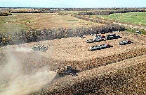 Combines harvest soybeans during the Acres of Hope Rivers and Oak River community harvest in support of the Canadian Foodgrains Bank at a field east of Rivers on Monday. Farmers from the area came together to harvest approximately 155 acres of soybeans, which will be sold at market with the proceeds going to the CFB. CFB has close to three dozen growing projects in Manitoba this year. The Acres of Hope harvest is the last of CFB project harvests for 2026. The CFB works to help provide resources in food insecure areas around the world with the aim of ending ending hunger. Dozens of volunteers are involved in the Acres of Hope project, donating time, seed, chemicals, equipment and anything else needed for the project. Six combines took part in the harvest on Monday, as well as grain carts and grain trucks. Combines harvest soybeans during the Acres of Hope Rivers and Oak River community harvest in support of the Canadian Foodgrains Bank at a field east of Rivers on Monday. Farmers from the area came together to harvest approximately 155 acres of soybeans, which will be sold at market with the proceeds going to the CFB. CFB has close to three dozen growing projects in Manitoba this year. The Acres of Hope harvest is the last of CFB project harvests for 2026. The CFB works to help provide resources in food insecure areas around the world with the aim of ending ending hunger. Dozens of volunteers are involved in the Acres of Hope project, donating time, seed, chemicals, equipment and anything else needed for the project. Six combines took part in the harvest on Monday, as well as grain carts and grain trucks.
(Tim Smith/The Brandon Sun)
