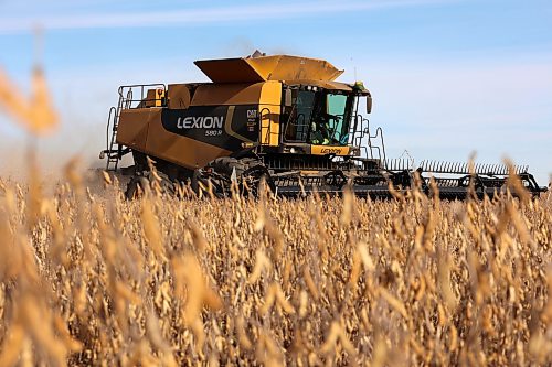 A combine harvests soybeans during the Acres of Hope Rivers and Oak River community harvest in support of the Canadian Foodgrains Bank at a field east of Rivers on Monday. Farmers from the area came together to harvest approximately 155 acres of soybeans, which will be sold at market with the proceeds going to the CFB. CFB has close to three dozen growing projects in Manitoba this year. The Acres of Hope harvest is the last of CFB project harvests for 2026. The CFB works to help provide resources in food insecure areas around the world with the aim of ending ending hunger. Dozens of volunteers are involved in the Acres of Hope project, donating time, seed, chemicals, equipment and anything else needed for the project. Six combines took part in the harvest on Monday, as well as grain carts and grain trucks. Combines harvest soybeans during the Acres of Hope Rivers and Oak River community harvest in support of the Canadian Foodgrains Bank at a field east of Rivers on Monday. Farmers from the area came together to harvest approximately 155 acres of soybeans, which will be sold at market with the proceeds going to the CFB. CFB has close to three dozen growing projects in Manitoba this year. The Acres of Hope harvest is the last of CFB project harvests for 2026. The CFB works to help provide resources in food insecure areas around the world with the aim of ending ending hunger. Dozens of volunteers are involved in the Acres of Hope project, donating time, seed, chemicals, equipment and anything else needed for the project. Six combines took part in the harvest on Monday, as well as grain carts and grain trucks.
(Tim Smith/The Brandon Sun)
