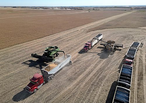 Combines unload soybeans into waiting grain trucks during the Acres of Hope Rivers and Oak River community harvest in support of the Canadian Foodgrains Bank at a field east of Rivers on Monday. Farmers from the area came together to harvest approximately 155 acres of soybeans, which will be sold at market with the proceeds going to the CFB. CFB has close to three dozen growing projects in Manitoba this year. The Acres of Hope harvest is the last of CFB project harvests for 2026. The CFB works to help provide resources in food insecure areas around the world with the aim of ending ending hunger. Dozens of volunteers are involved in the Acres of Hope project, donating time, seed, chemicals, equipment and anything else needed for the project. Six combines took part in the harvest on Monday, as well as grain carts and grain trucks.
(Tim Smith/The Brandon Sun)