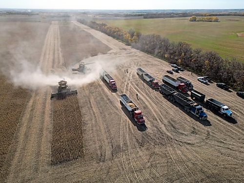 Combines harvest soybeans during the Acres of Hope Rivers and Oak River community harvest in support of the Canadian Foodgrains Bank at a field east of Rivers on Monday. Farmers from the area came together to harvest approximately 155 acres of soybeans, which will be sold at market with the proceeds going to the CFB. CFB has close to three dozen growing projects in Manitoba this year. The Acres of Hope harvest is the last of CFB project harvests for 2026. The CFB works to help provide resources in food insecure areas around the world with the aim of ending ending hunger. Dozens of volunteers are involved in the Acres of Hope project, donating time, seed, chemicals, equipment and anything else needed for the project. Six combines took part in the harvest on Monday, as well as grain carts and grain trucks. Combines harvest soybeans during the Acres of Hope Rivers and Oak River community harvest in support of the Canadian Foodgrains Bank at a field east of Rivers on Monday. Farmers from the area came together to harvest approximately 155 acres of soybeans, which will be sold at market with the proceeds going to the CFB. CFB has close to three dozen growing projects in Manitoba this year. The Acres of Hope harvest is the last of CFB project harvests for 2026. The CFB works to help provide resources in food insecure areas around the world with the aim of ending ending hunger. Dozens of volunteers are involved in the Acres of Hope project, donating time, seed, chemicals, equipment and anything else needed for the project. Six combines took part in the harvest on Monday, as well as grain carts and grain trucks.
(Tim Smith/The Brandon Sun)