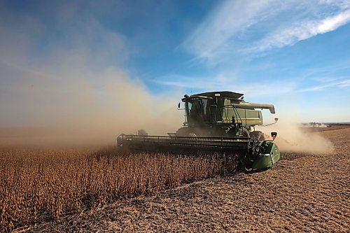 A combine harvests soybeans during the Acres of Hope Rivers and Oak River community harvest in support of the Canadian Foodgrains Bank at a field east of Rivers last week. Farmers from the area came together to harvest approximately 155 acres of soybeans, which will be sold at market with the proceeds going to the CFB. CFB has close to three dozen growing projects in Manitoba this year. The Acres of Hope harvest is the last of CFB project harvests for 2026. The CFB works to help provide resources in food insecure areas around the world with the aim of ending ending hunger. Dozens of volunteers are involved in the Acres of Hope project, donating time, seed, chemicals, equipment and anything else needed for the project. Six combines took part in the harvest on Monday, as well as grain carts and grain trucks. Combines harvest soybeans during the Acres of Hope Rivers and Oak River community harvest in support of the Canadian Foodgrains Bank at a field east of Rivers on Monday. Farmers from the area came together to harvest approximately 155 acres of soybeans, which will be sold at market with the proceeds going to the CFB. CFB has close to three dozen growing projects in Manitoba this year. The Acres of Hope harvest is the last of CFB project harvests for 2026. The CFB works to help provide resources in food insecure areas around the world with the aim of ending ending hunger. Dozens of volunteers are involved in the Acres of Hope project, donating time, seed, chemicals, equipment and anything else needed for the project. Six combines took part in the harvest on Monday, as well as grain carts and grain trucks.
(Tim Smith/The Brandon Sun)
