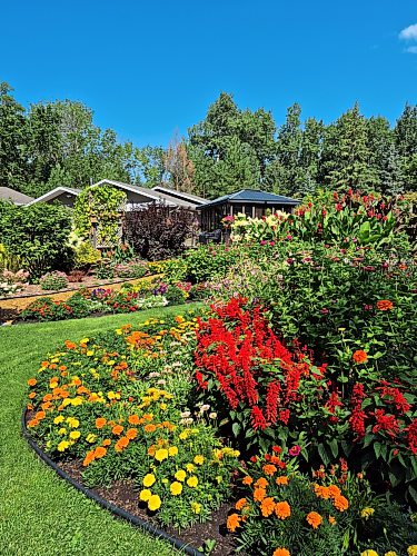 Colleen Zacharias / Free Press
Hundreds of zinnias and marigolds started from seed grow in Robert and Susan Choquette’s curved garden beds.