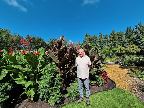 Colleen Zacharias / Free Press
Robert Choquette grows dozens of canna lilies. He digs up the rhizomes in fall and stores them for winter.