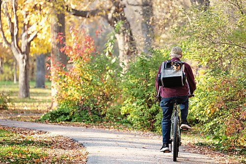 Ruth Bonneville / Free Press

Standup  Dog’s life 

Cookie, a twelve-year-old Yorkie mix, pokes his head out of his carrier during a ride through the brilliant fall colors with his owner, Marty Green, in Munson Park on Tuesday afternoon.

OCT 20TH, 2026
