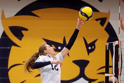 Stephanie Miller is back as a starting outside hitter for the Bobcats this year. (Tim Smith/The Brandon Sun)