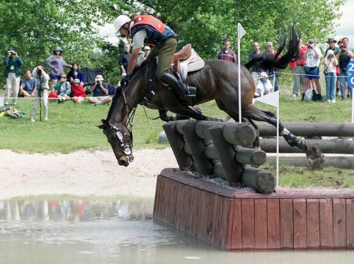Chilean 3-day eventer Victor Alegria Saez and his horse Genoves have the makings of a potentially bad tumble at the second of two water jumps during the cross-country portion of the three-day eventing at Birds Hill Provincial Park Sunday afternoon during the Pan Am Games. Saez eventually fell off of his horse. (KITTIE WONG/WINNIPEG FREE PRESS)