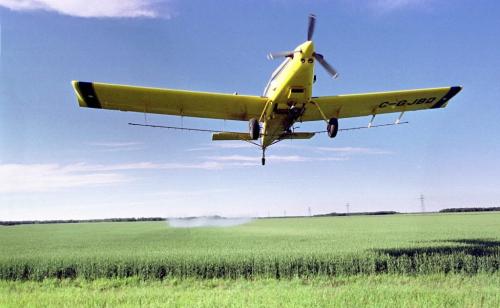 July 7, 1999--Portage la Prairie, MB--Clive Scott, of Edmonton, climbs after spraying a wheat field just west of Portage la Prairie Wednesday evening. Scott works of Jonair during the peak spraying season. Photo by Fred Greenslade
