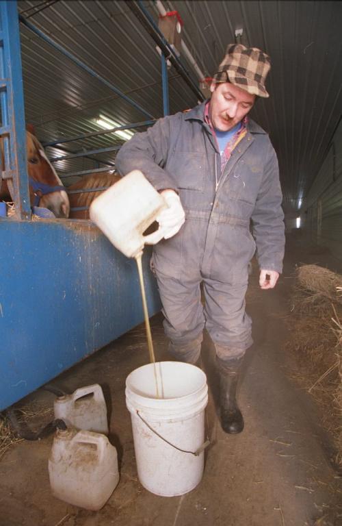 PMU - Charlie Knockaert collecting horse urine on his Whispering Hills Ranch near Holland Manitoba.  Dec 5 - 1994 - Jeff de Booy - Winnipeg Free Press
